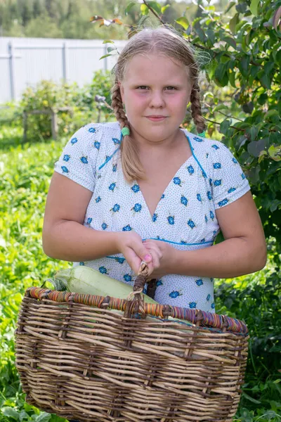 Una Chica Con Una Cesta Que Contiene Verduras —  Fotos de Stock