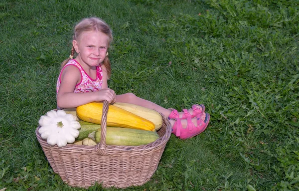 Ein Mädchen Mit Einem Korb Mit Gemüse — Stockfoto