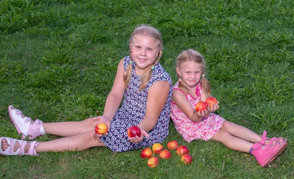 Menina Segura Grandes Deliciosos Nectarinas Maduras Suas Mãos — Fotografia de Stock