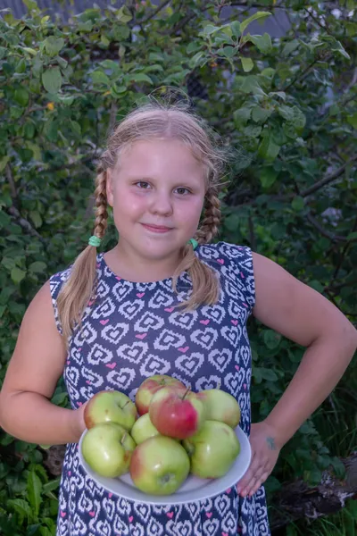 女孩手里拿着生长在乡间的又大又好吃又熟的苹果 — 图库照片