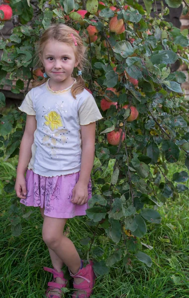 Het Meisje Staat Naast Een Appelboom Bezaaid Met Rijpe Rode — Stockfoto