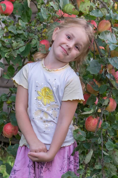 소녀는 맛있는 사과가 뿌려진 사과나무 근처에서 — 스톡 사진
