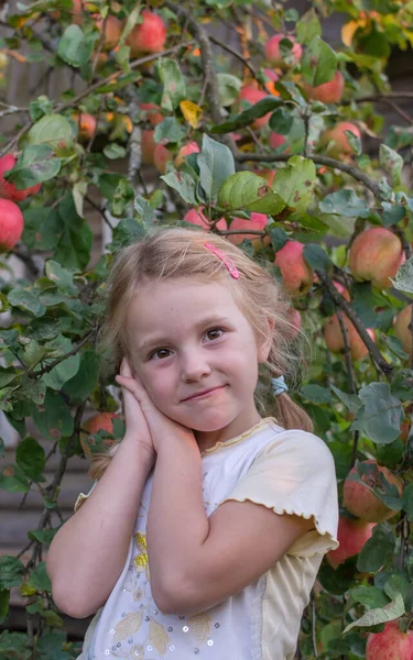 Het Meisje Staat Naast Een Appelboom Bezaaid Met Rijpe Rode — Stockfoto