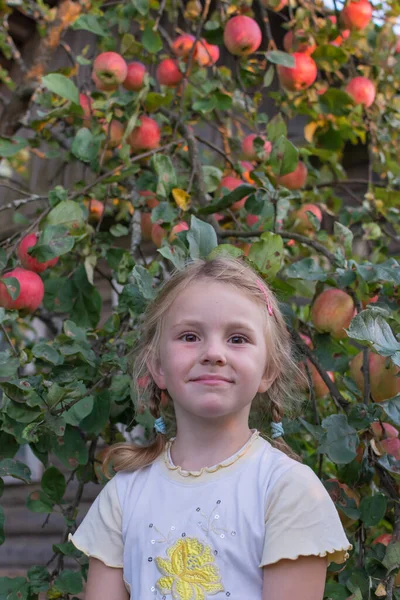 Het Meisje Staat Naast Een Appelboom Bezaaid Met Rijpe Rode — Stockfoto