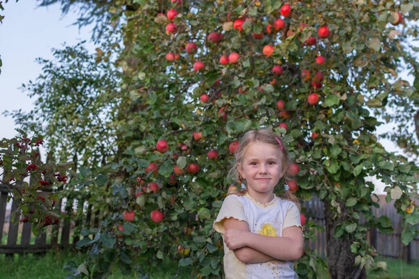 女孩站在一棵苹果树旁边 树上撒满了成熟的红色多汁美味的苹果 — 图库照片