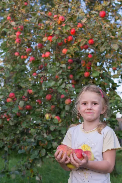 Chica Está Pie Cerca Manzano Esparcida Con Manzanas Rojas Maduras —  Fotos de Stock