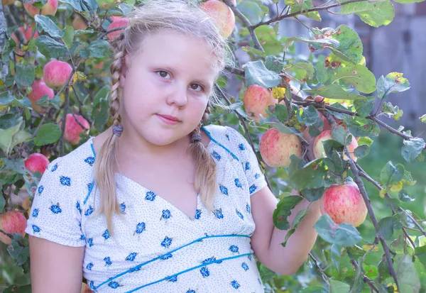 Dívka Stojí Jabloně Posetá Zralými Červenými Šťavnatými Lahodnými Jablky — Stock fotografie