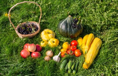 Sonbahar hala hayattır. Ülkede sebzeler yetişiyor.. 