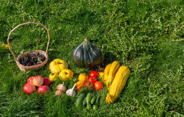 Осенний Натюрморт Овощи Выращенные Стране — стоковое фото