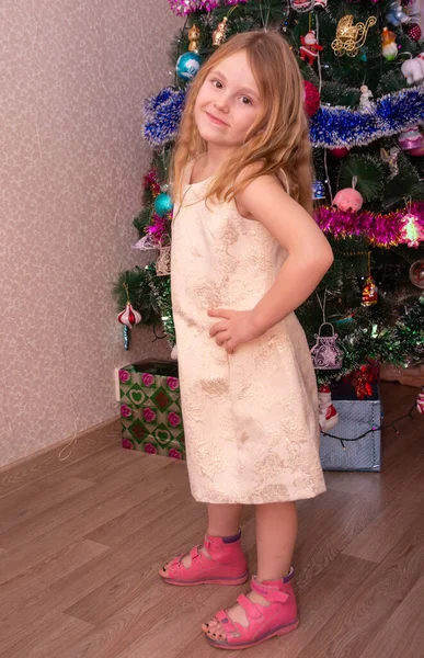 Ein Schönes Elegantes Mädchen Der Nähe Des Weihnachtsbaums Neuen Jahr — Stockfoto