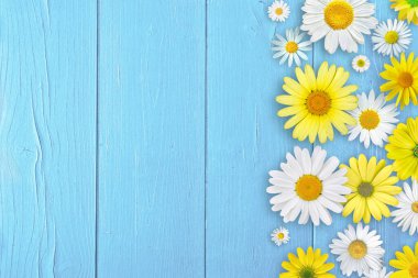 Mavi ahşap masa arkasında sarı ve beyaz papatya çiçekleri. Güzel bahar kompozisyonu, tasarım şablonu, metin için kopyalama alanı.