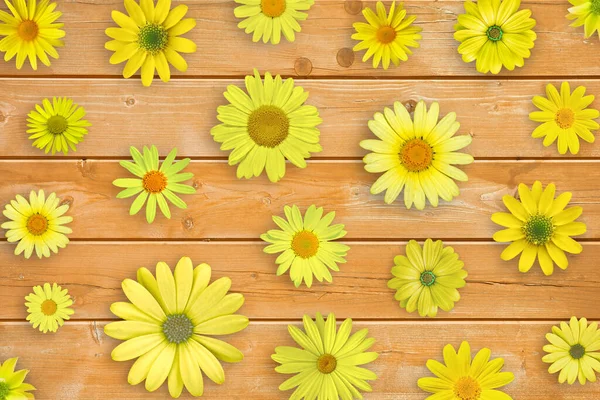 Gelbe Gänseblümchen Blühen Auf Orangefarbenem Holztischhintergrund Schöne Frühlingskomposition Vorlage Für — Stockfoto