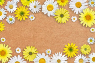 Turuncu-kahverengi kağıtta beyaz ve sarı papatya çiçekleri. Güzel bahar kompozisyonu, tasarım şablonu, metin için kopyalama alanı.