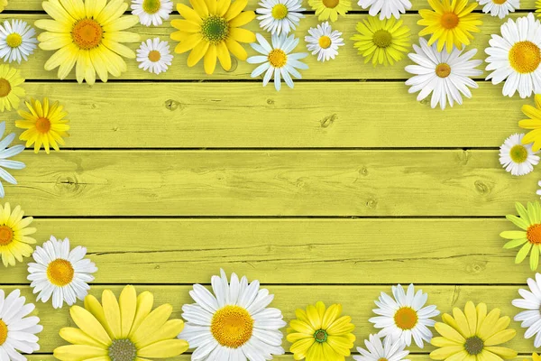 Fleurs Marguerite Blanches Jaunes Sur Fond Table Bois Jaune Vert — Photo