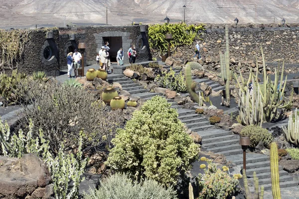 Cactus Garden Lanzarote Canary Islands Ισπανία — Φωτογραφία Αρχείου