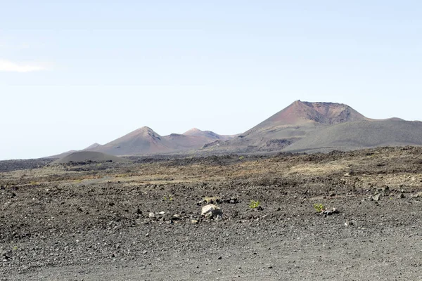 View Geria Vineyard Black Volcanic Ground Scenic Landscape Lanzarote Canary — Stock Photo, Image