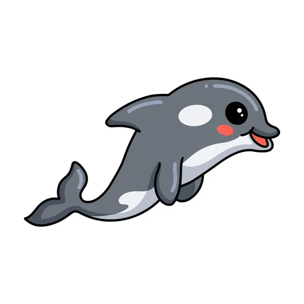 Διάνυσμα Εικονογράφηση Του Χαριτωμένο Μικρό Δολοφόνο Φάλαινα Κινούμενα Σχέδια — Διανυσματικό Αρχείο
