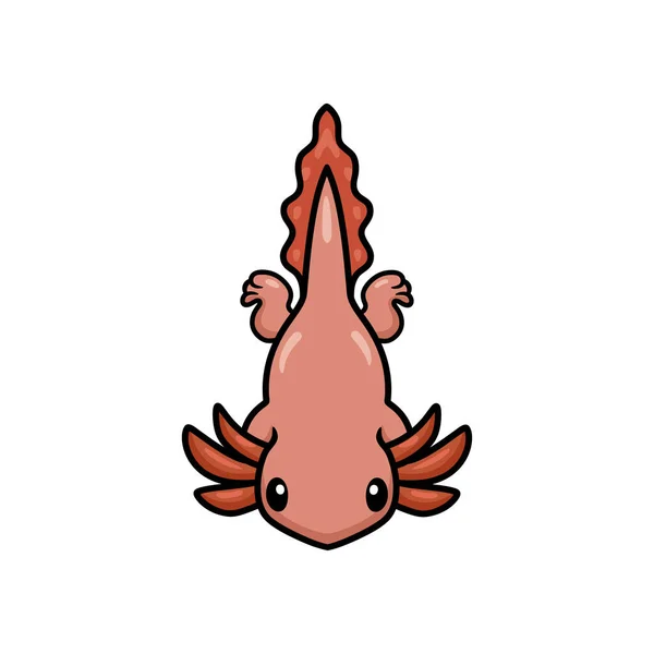 Vektor Illustration Des Niedlichen Axolotl Cartoon Schwimmen Vektorillustration — Stockvektor