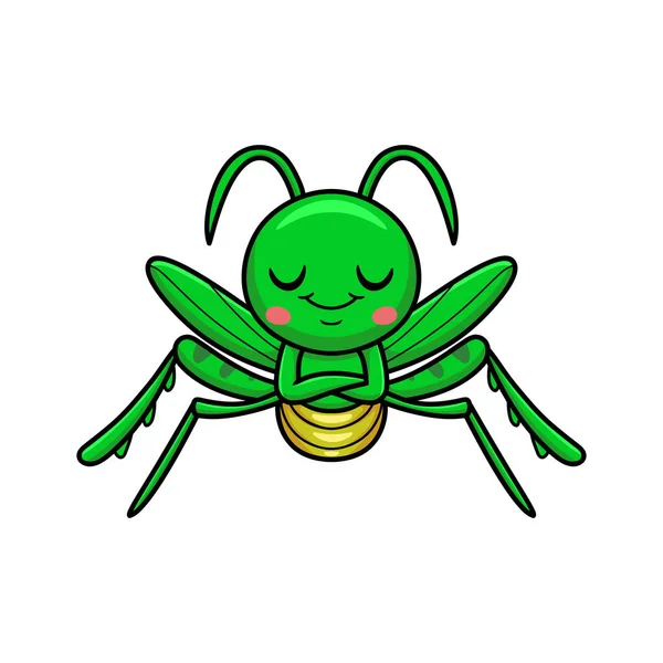Illustration Vectorielle Mignon Petit Mantis Dessin Animé Dormir — Image vectorielle