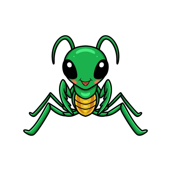 Vector Ilustración Lindo Pequeño Personaje Dibujos Animados Mantis — Vector de stock