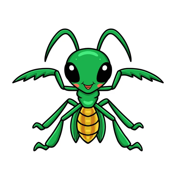 可爱小螳螂卡通人物的矢量图解 — 图库矢量图片