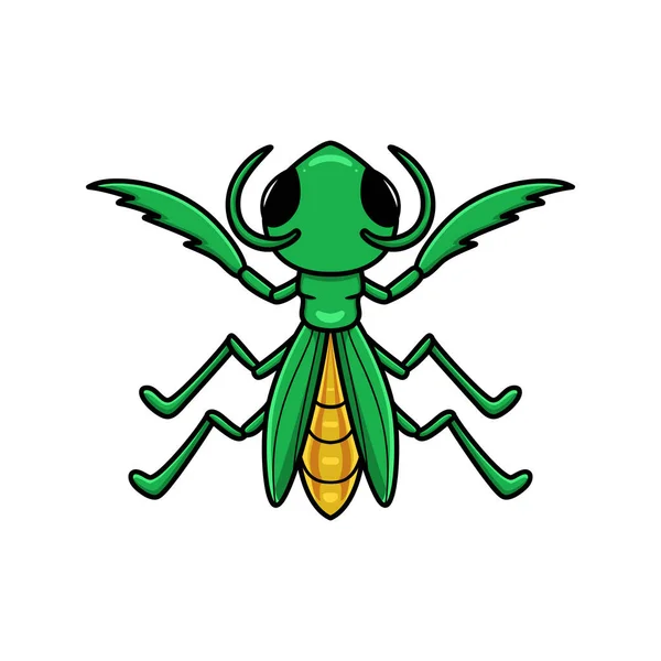 Vector Ilustración Lindo Pequeño Personaje Dibujos Animados Mantis — Vector de stock