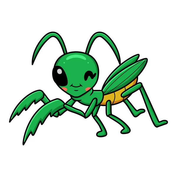 Vetor Ilustração Bonito Pouco Mantis Personagem Desenho Animado — Vetor de Stock