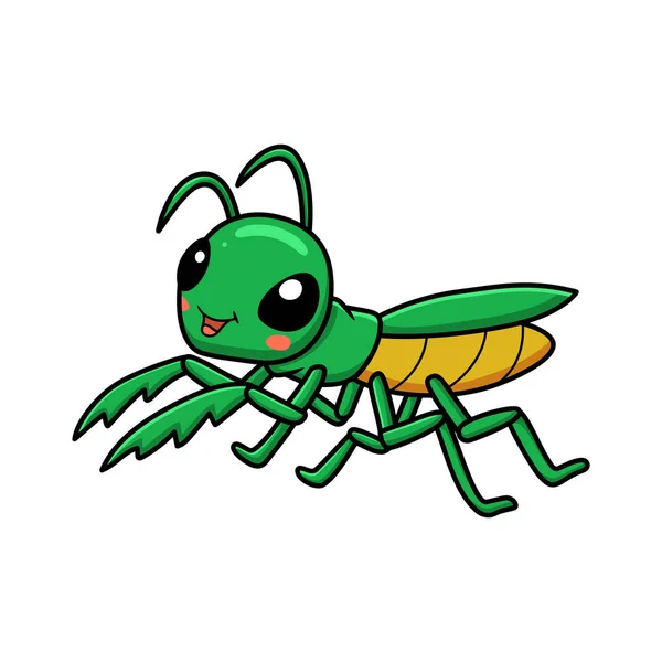 Διανυσματική Απεικόνιση Του Χαριτωμένο Μικρό Mantis Χαρακτήρα Κινουμένων Σχεδίων — Διανυσματικό Αρχείο