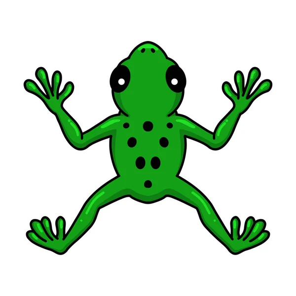 Vector Illustration Der Niedlichen Kleinen Frosch Cartoon Figur — Stockvektor