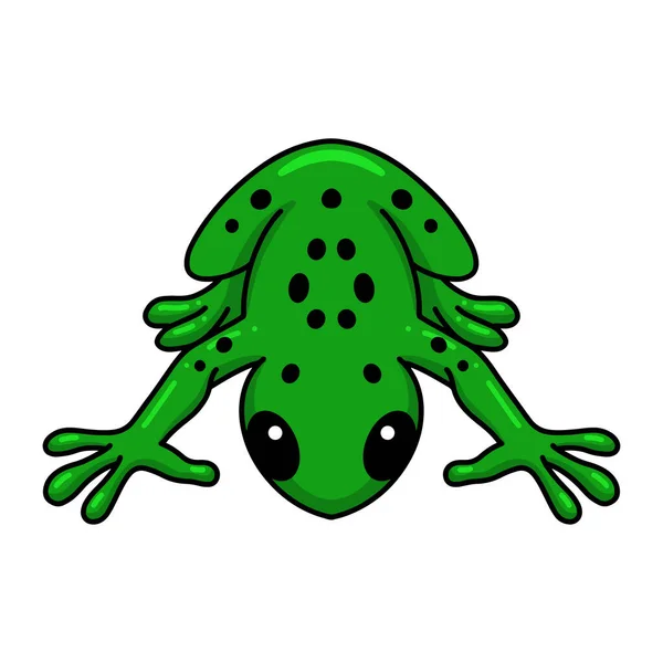 Vector Illustration Der Niedlichen Kleinen Frosch Cartoon Figur — Stockvektor