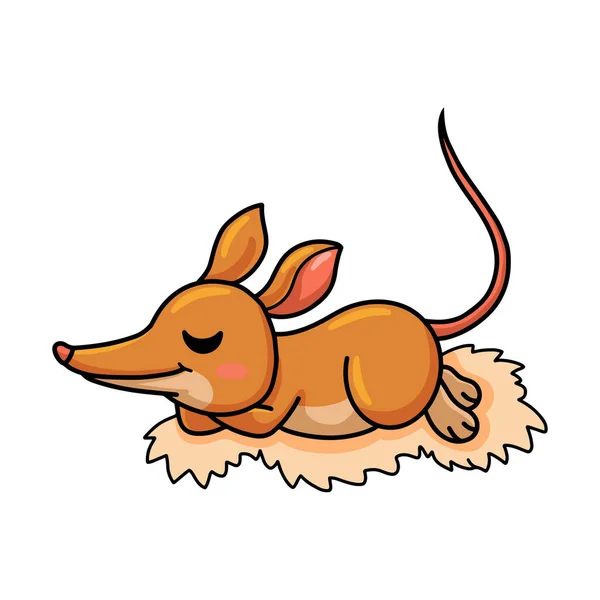 Ilustração Vetorial Bonito Pouco Bandicoot Cartoon Dormir — Vetor de Stock