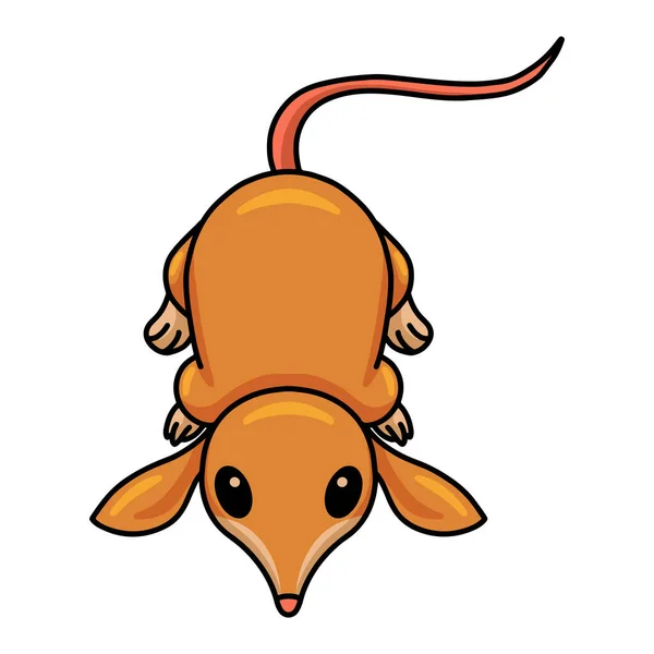 Ilustração Vetorial Cute Pequeno Personagem Desenho Animado Bandicoot — Vetor de Stock