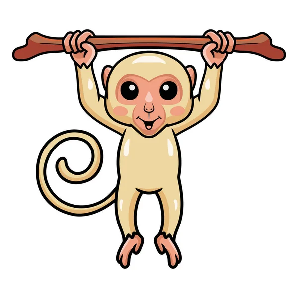 Ilustração Vetorial Desenho Animado Bonito Macaco Albino Pendurado Galho Árvore — Vetor de Stock