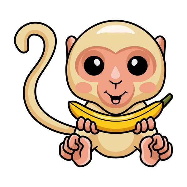 Ilustração Vetorial Bonito Pequeno Albino Macaco Cartoon Segurando Uma Banana —  Vetores de Stock