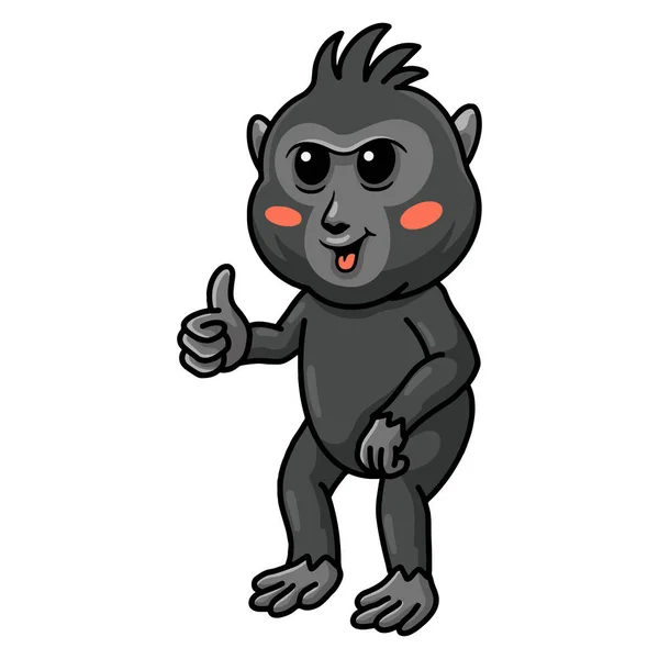 Ilustração Vetorial Bonito Pouco Crista Preto Desenho Animado Macaco Dando —  Vetores de Stock