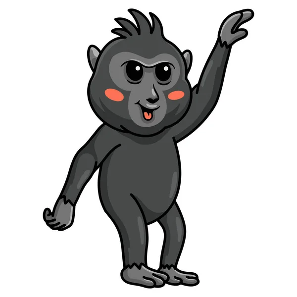 Ilustração Vetorial Bonito Pouco Crista Desenho Animado Macaco Preto — Vetor de Stock
