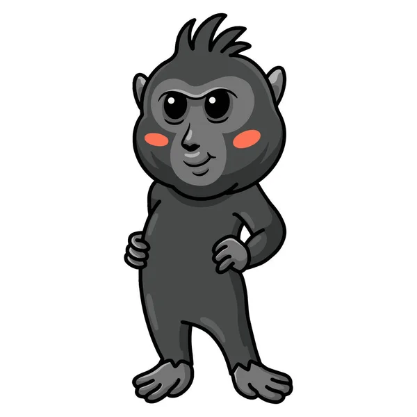 Illustration Vectorielle Mignon Petit Crêpé Noir Macaque Dessin Animé Debout — Image vectorielle