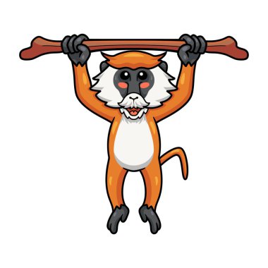 Ağaçta asılı şirin küçük patas maymun çizgi filminin vektör çizimi