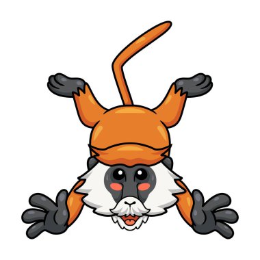 Tatlı küçük patas maymun pozunun vektör illüstrasyonu