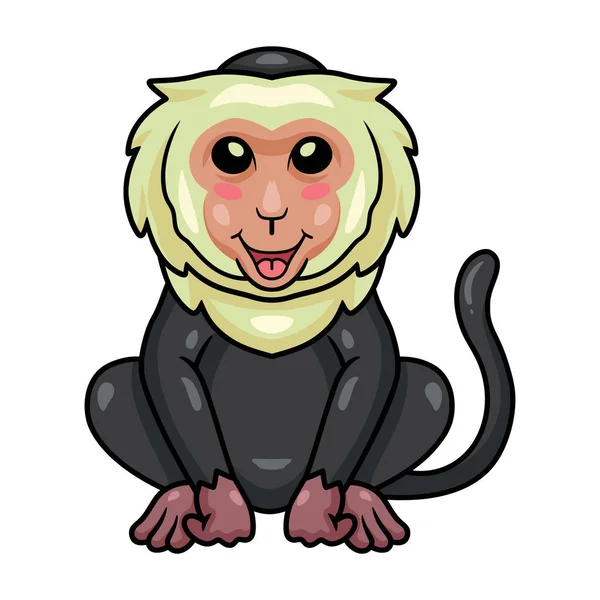 Ilustración Vectorial Dibujos Animados Lindo Mono Capuchino — Archivo Imágenes Vectoriales