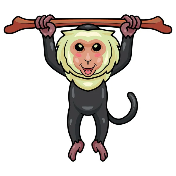 Ilustração Vetorial Pequeno Macaco Capuchinho Bonito Desenho Animado Árvore Pendurada — Vetor de Stock