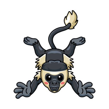 Şirin, küçük bir kolobus maymun çizgi filminin vektör çizimi