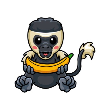 Elinde muz tutan şirin, küçük bir kolobus maymun çizgi filminin vektör çizimi