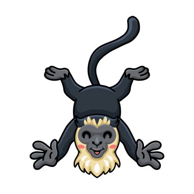 Vector illustration of Cute little diana monkey cartoon posing