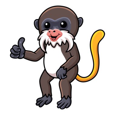 Vector illustration of Cute little tamarin monkey cartoon giving thumb up