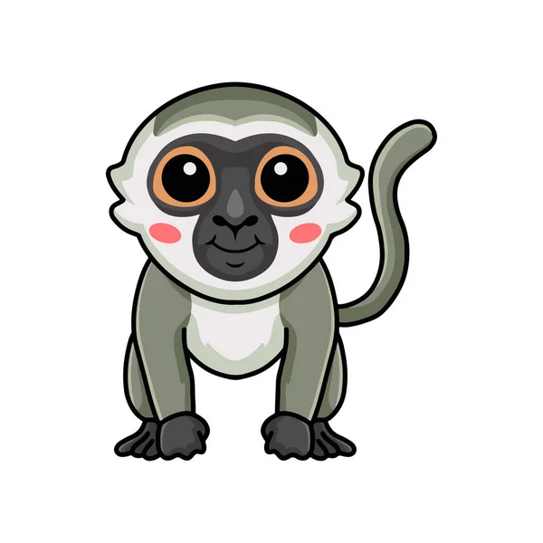 Vector Illustration Cute Little Vervet Monkey Cartoon Sitting — Stock Vector