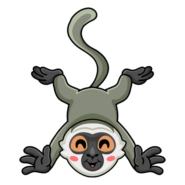 Illustrazione Vettoriale Carino Piccolo Vervet Scimmia Cartone Animato Posa — Vettoriale Stock