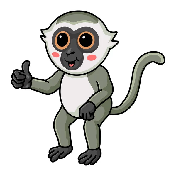 Illustrazione Vettoriale Carino Piccolo Vervet Scimmia Cartone Animato Dando Pollice — Vettoriale Stock