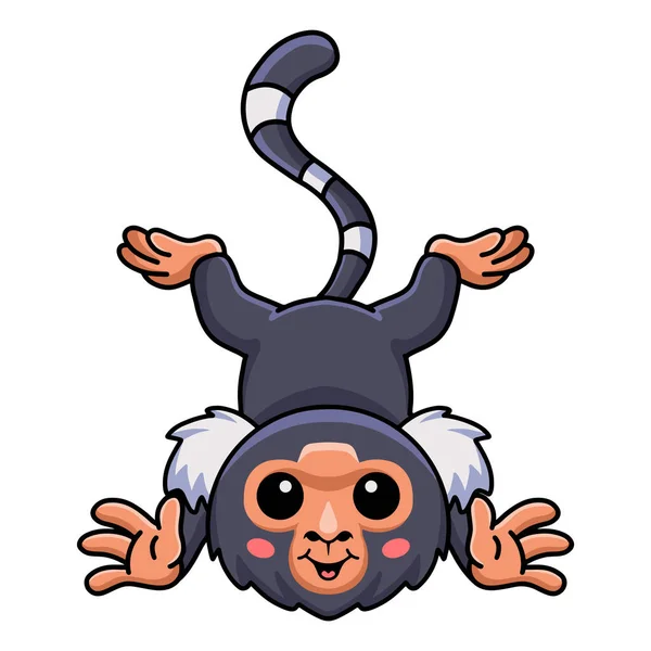ベクトルイラストの可愛いですPygmy Marmoset猿漫画ポーズ — ストックベクタ