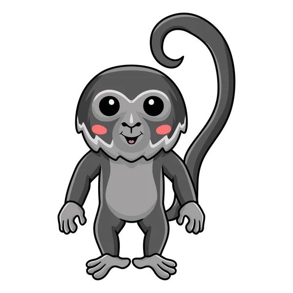 Vector Illustration Cute Black Spider Monkey Cartoon Standing — Stock vektor